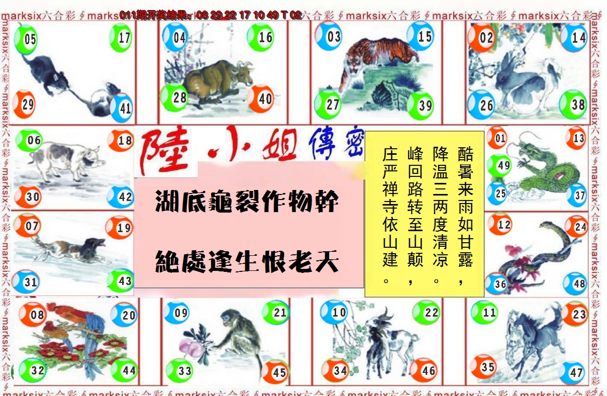 2025012期陆小姐传密B