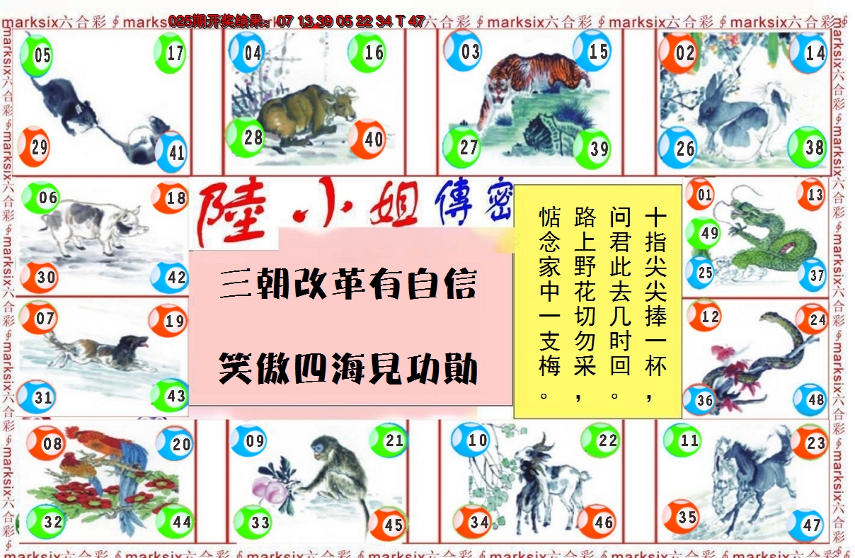2025026期陆小姐传密B