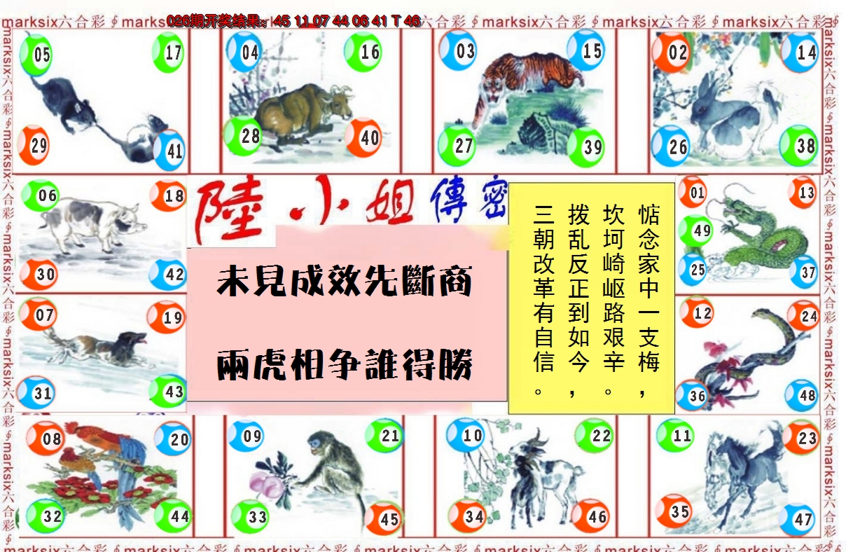 2025027期陆小姐传密B