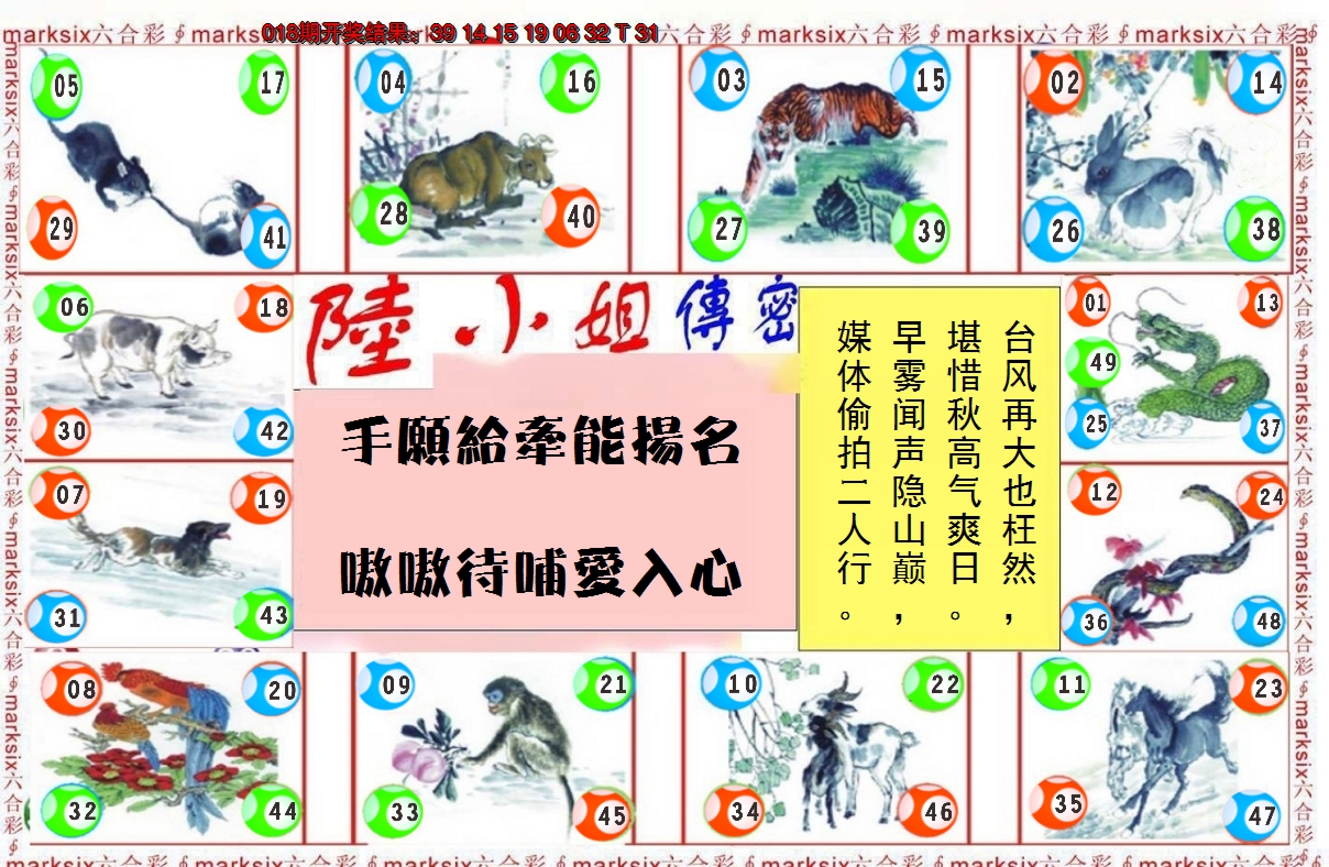 2025019期陆小姐传密B