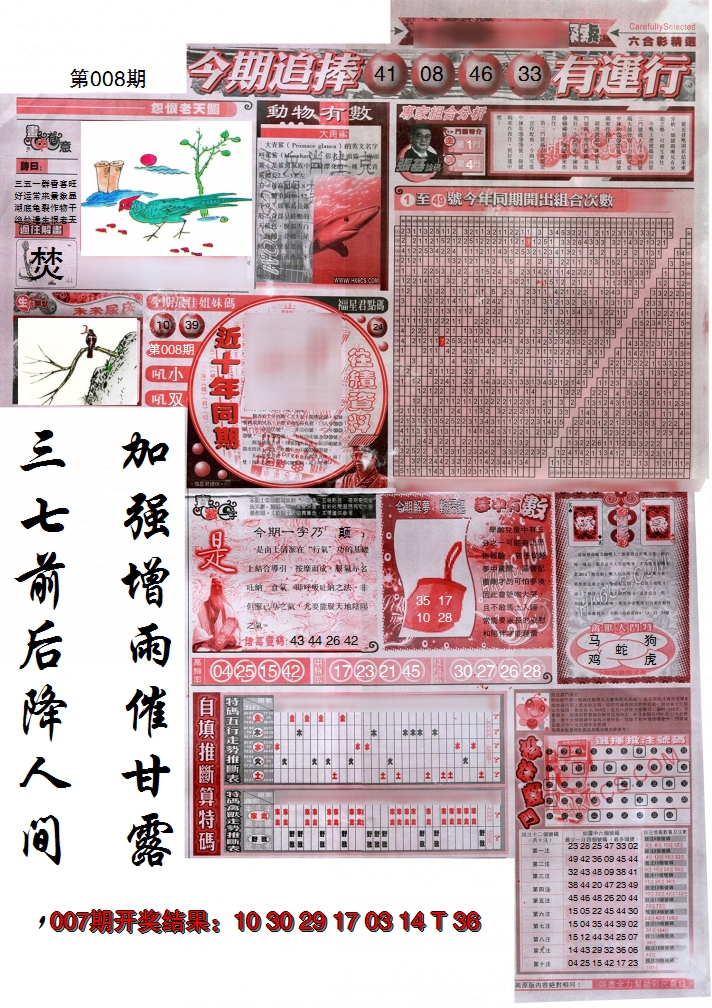 2025008期新六合精选B