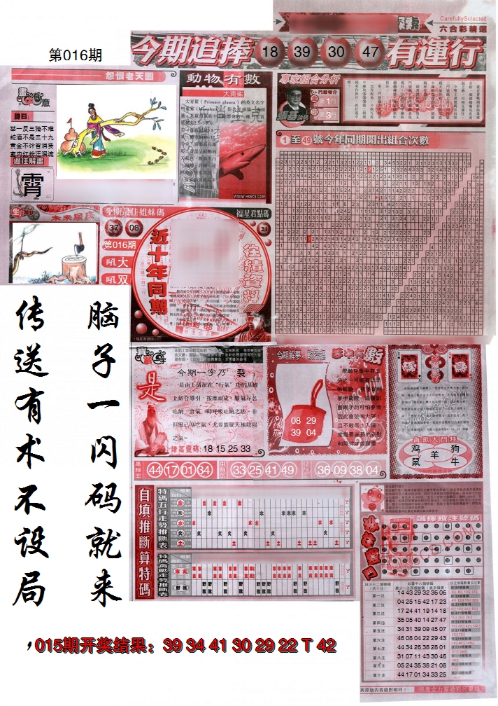 2025016期新六合精选B