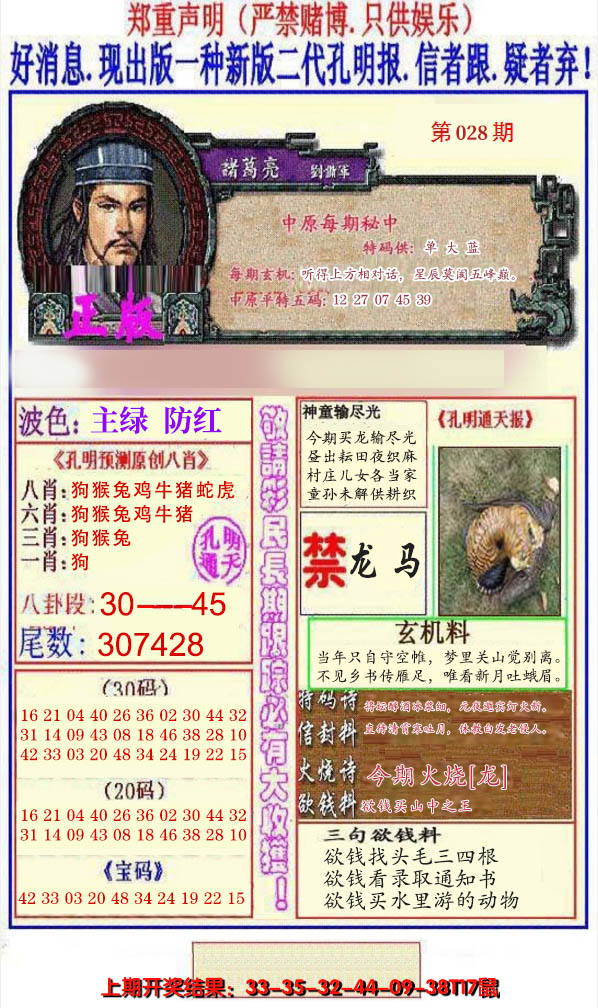 2025028期另二代孔明报