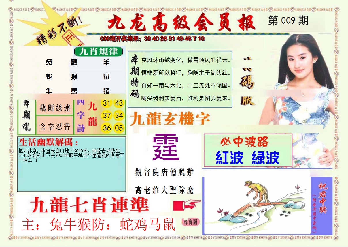 2025009期九龙高级会员报