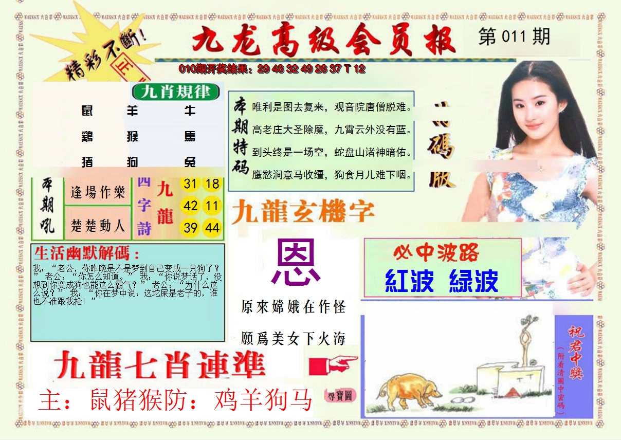 2025011期九龙高级会员报