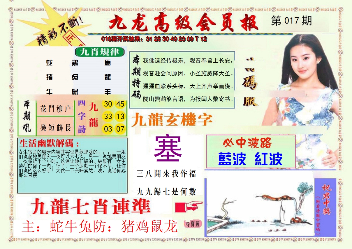 2025017期九龙高级会员报