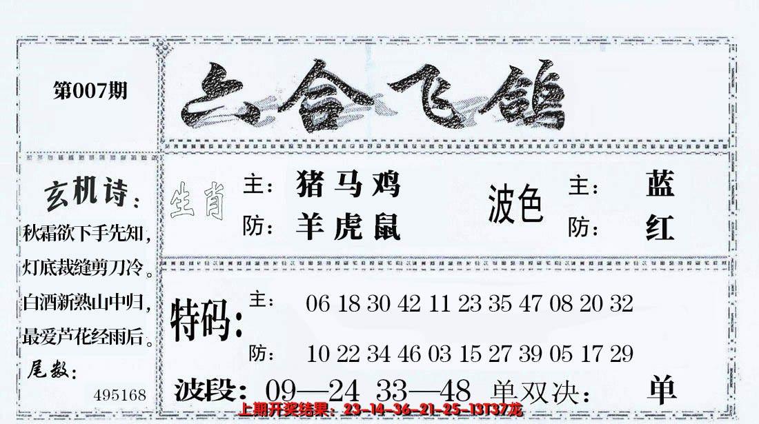 2025007期六合飞鸽