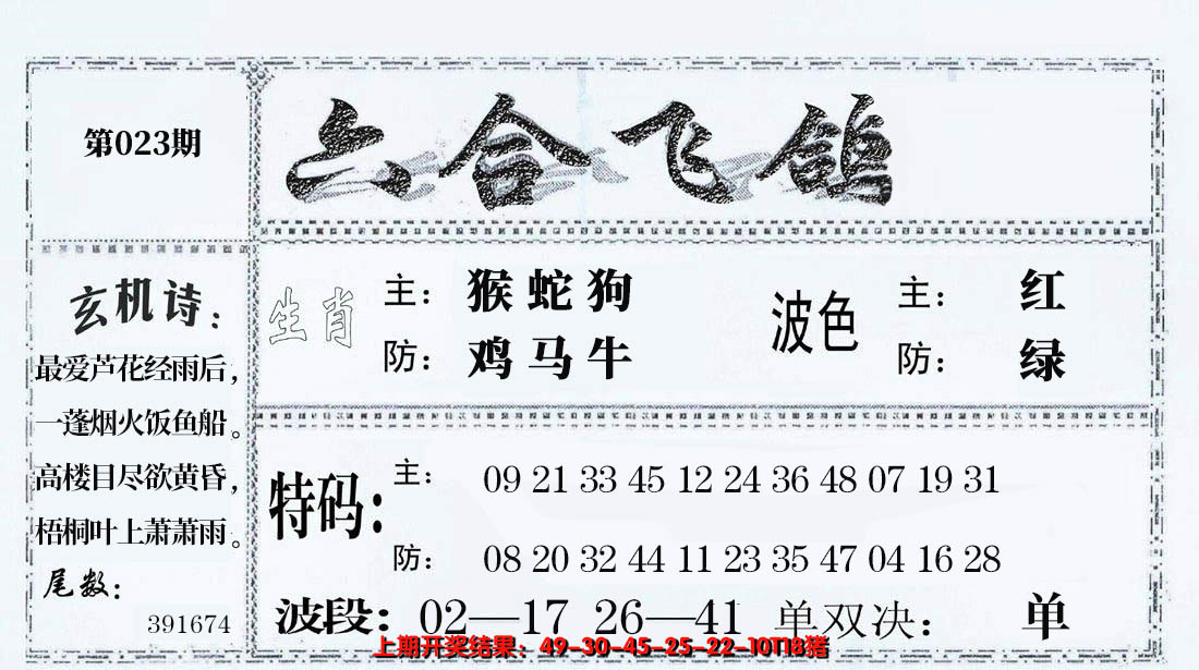 2025023期六合飞鸽