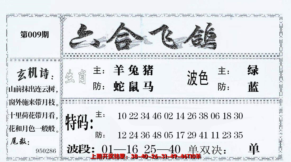 2025009期六合飞鸽