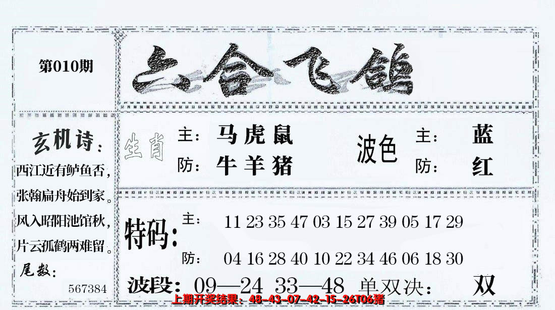 2025010期六合飞鸽