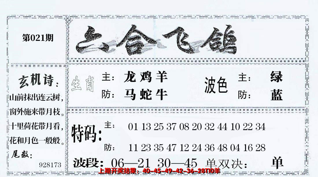 2025021期六合飞鸽