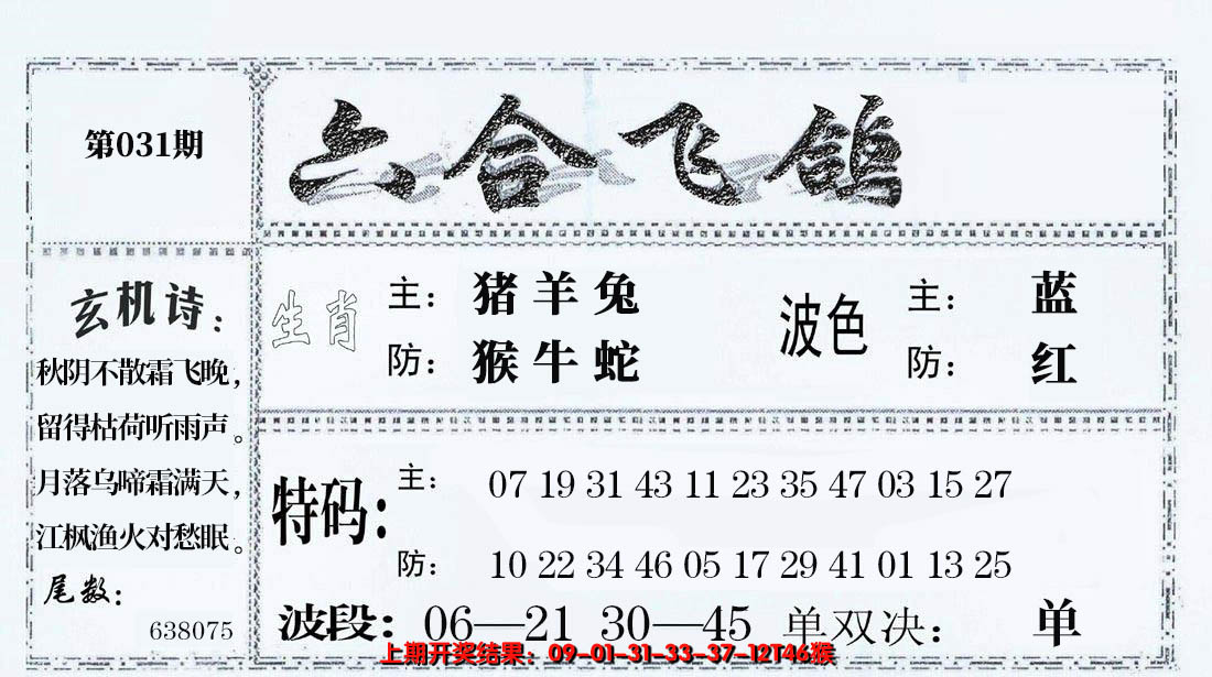 2025031期六合飞鸽