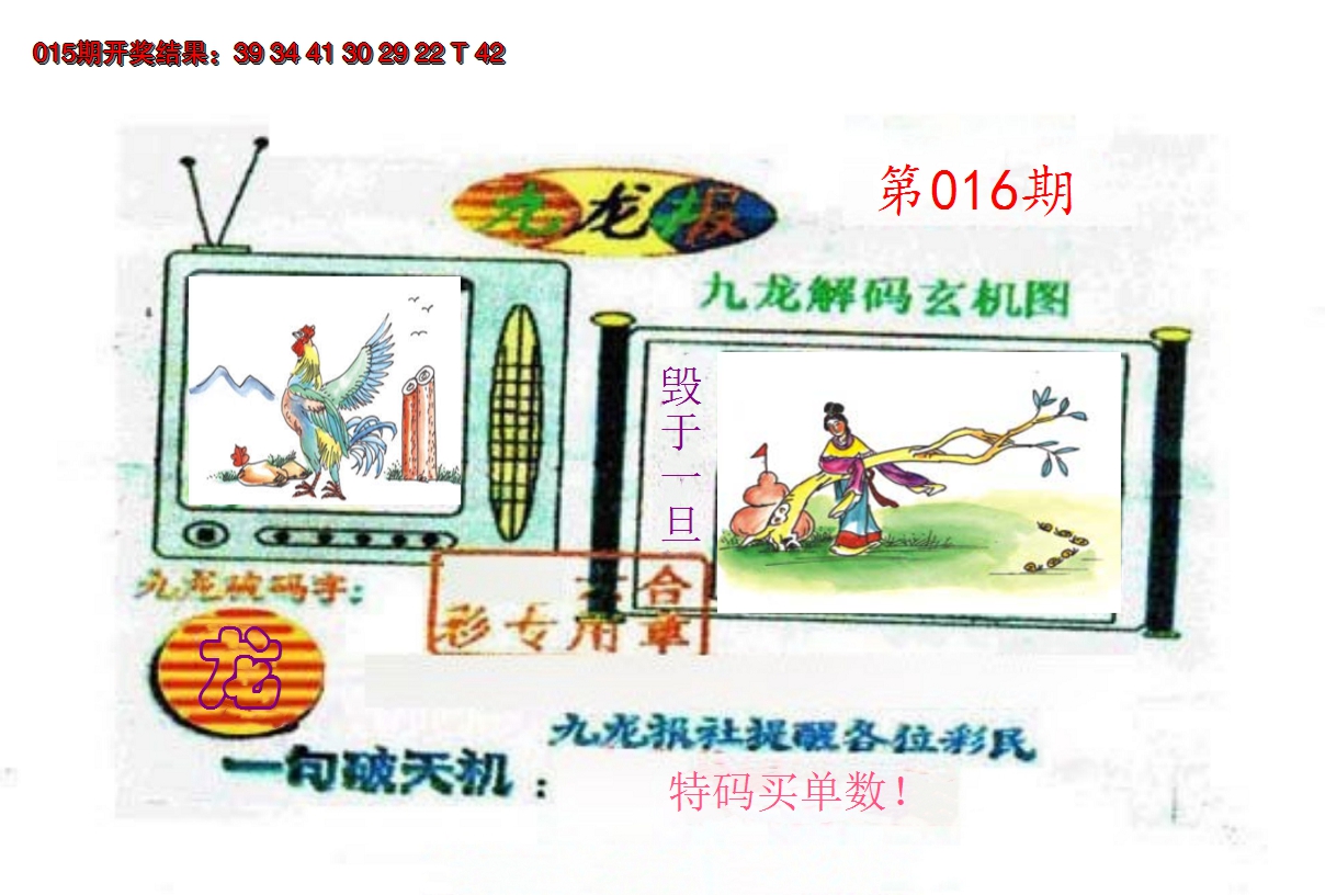 2025016期九龙报