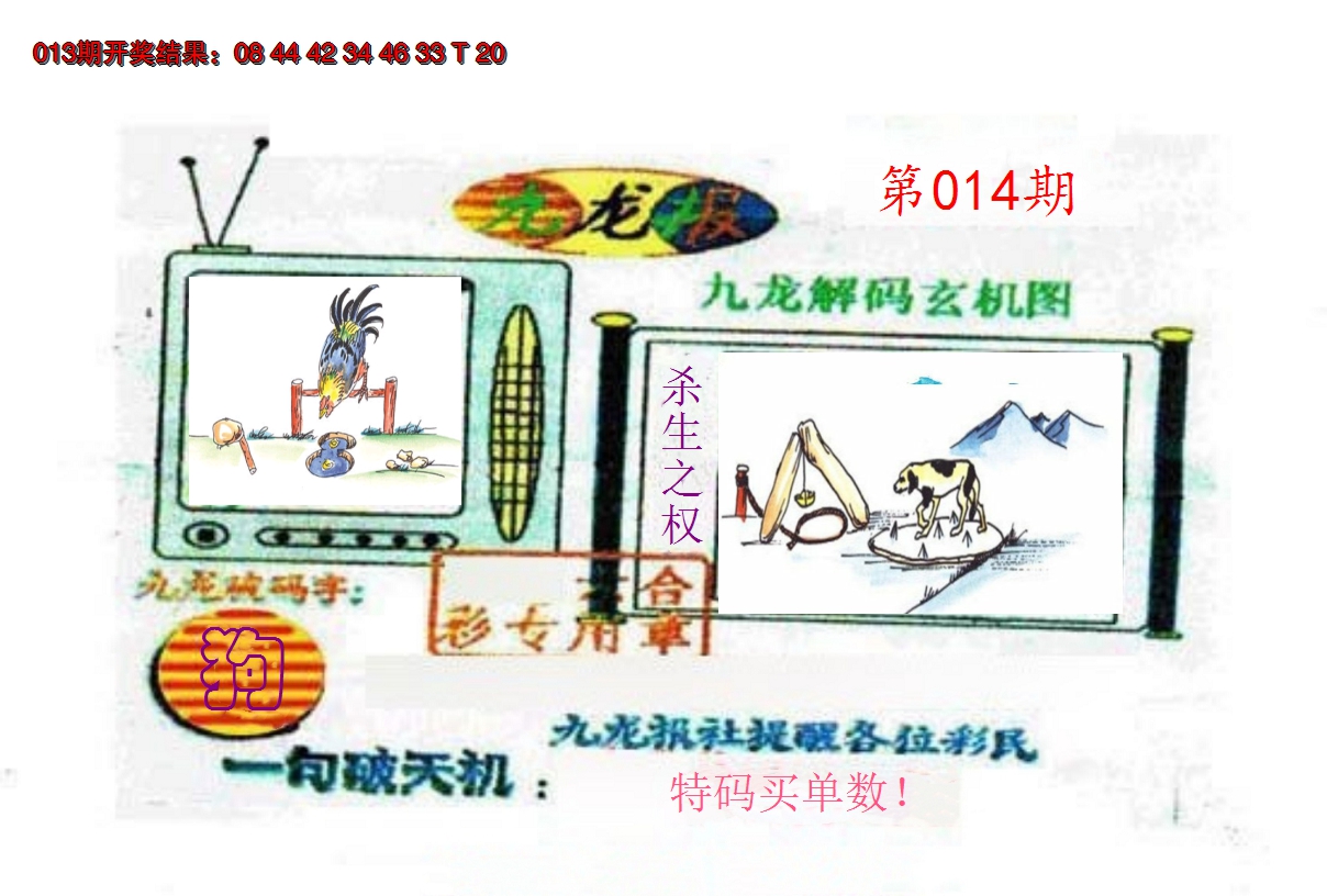 2025014期九龙报