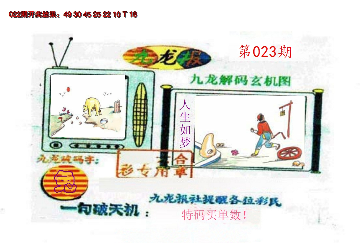 2025023期九龙报