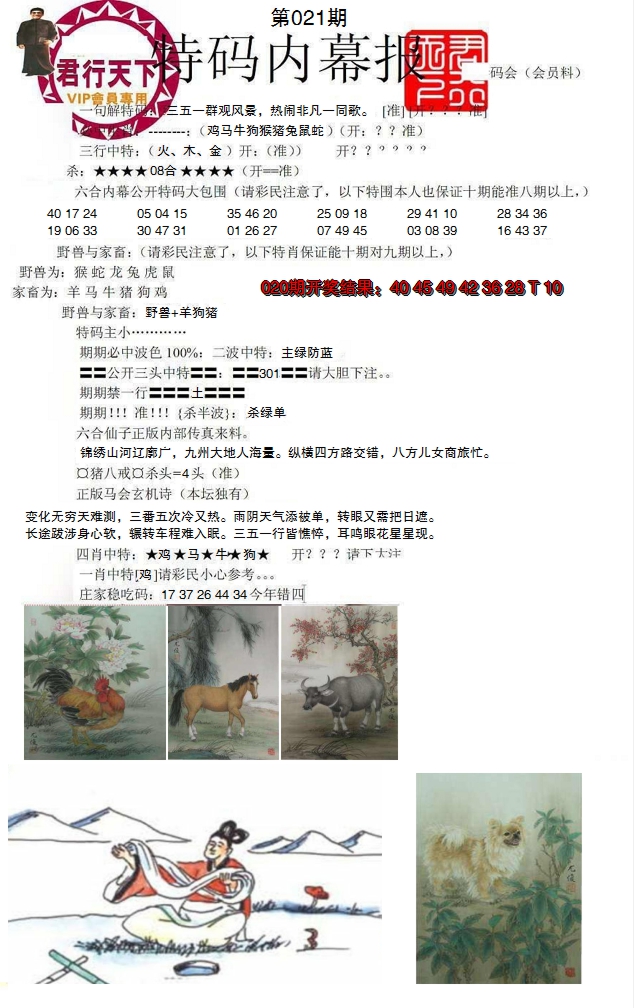 2025021期特码内幕报