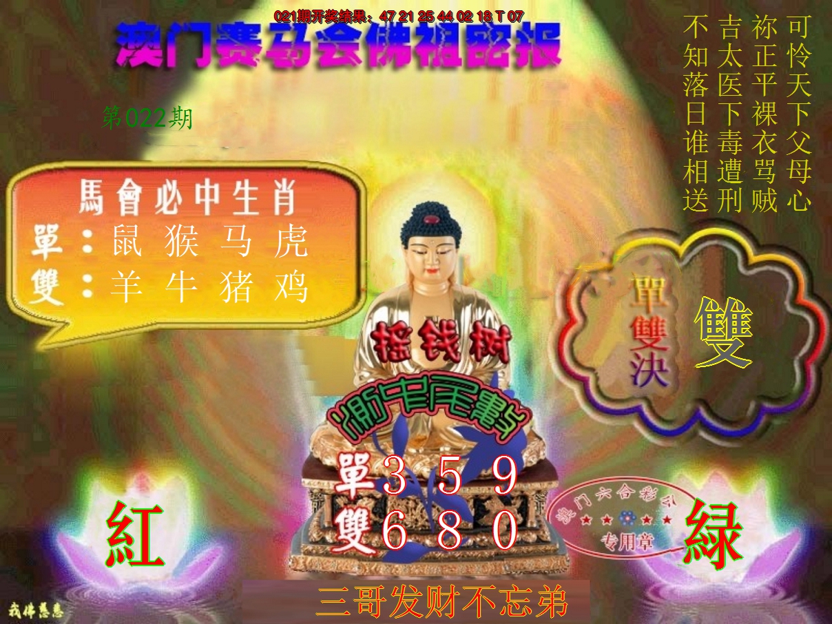 2025022期佛主密报-莲花双宝