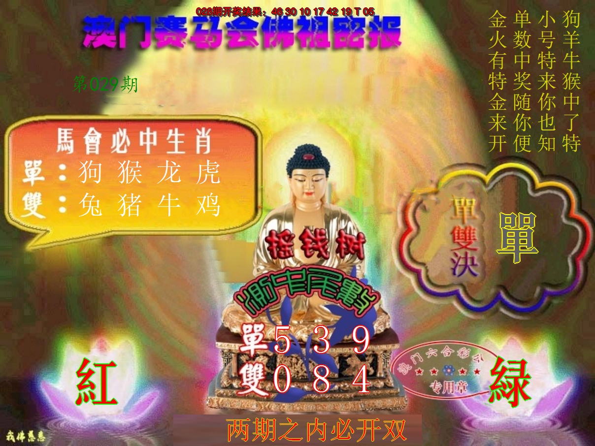 2025029期佛主密报-莲花双宝