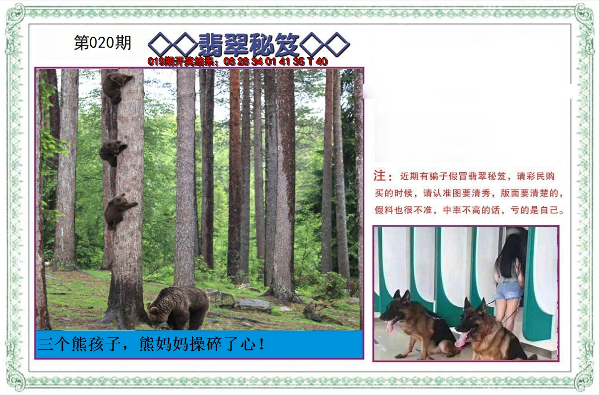 2025020期翡翠秘笈
