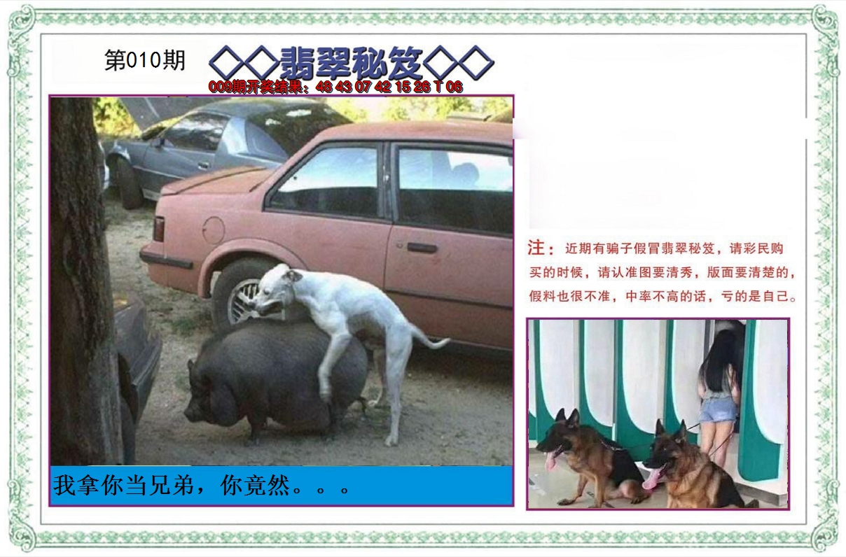 2025010期翡翠秘笈