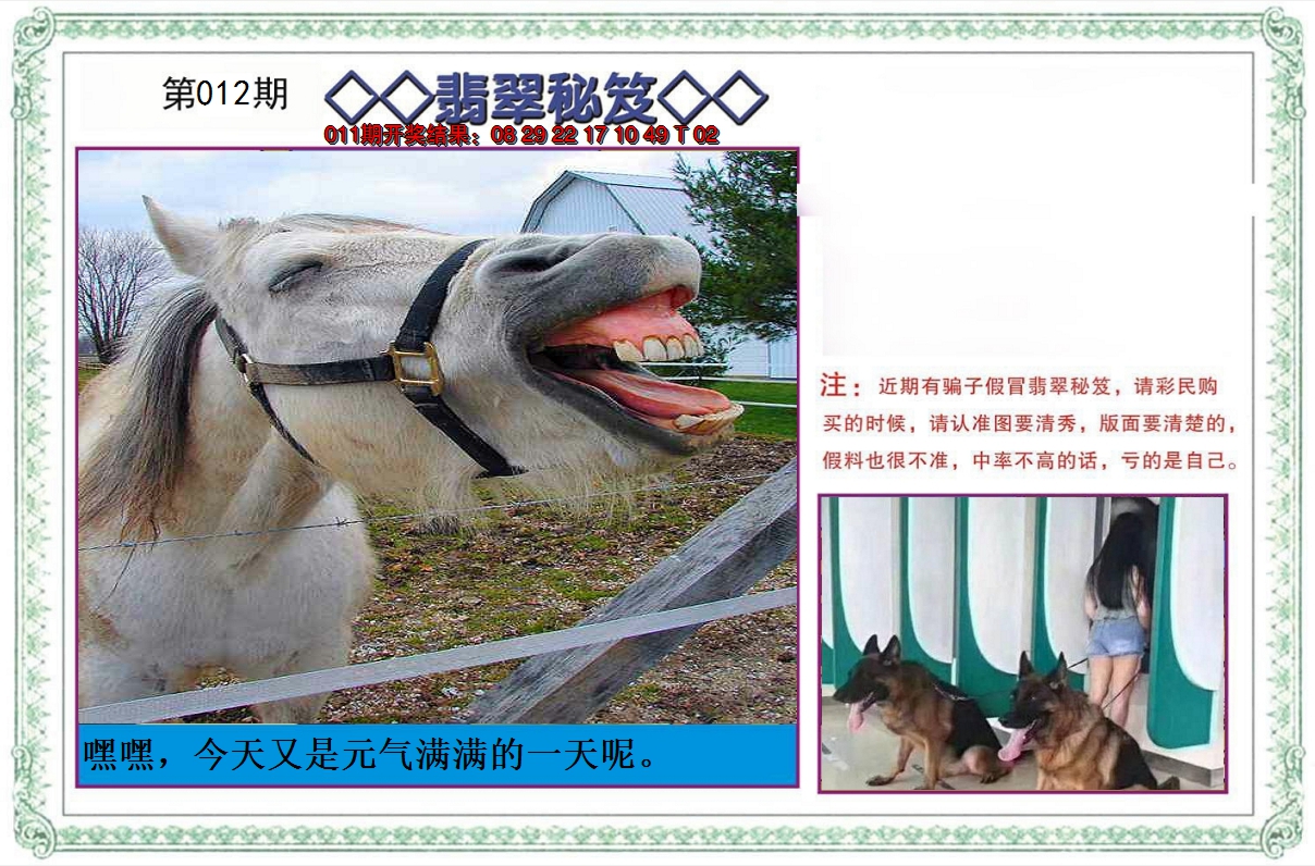 2025012期翡翠秘笈