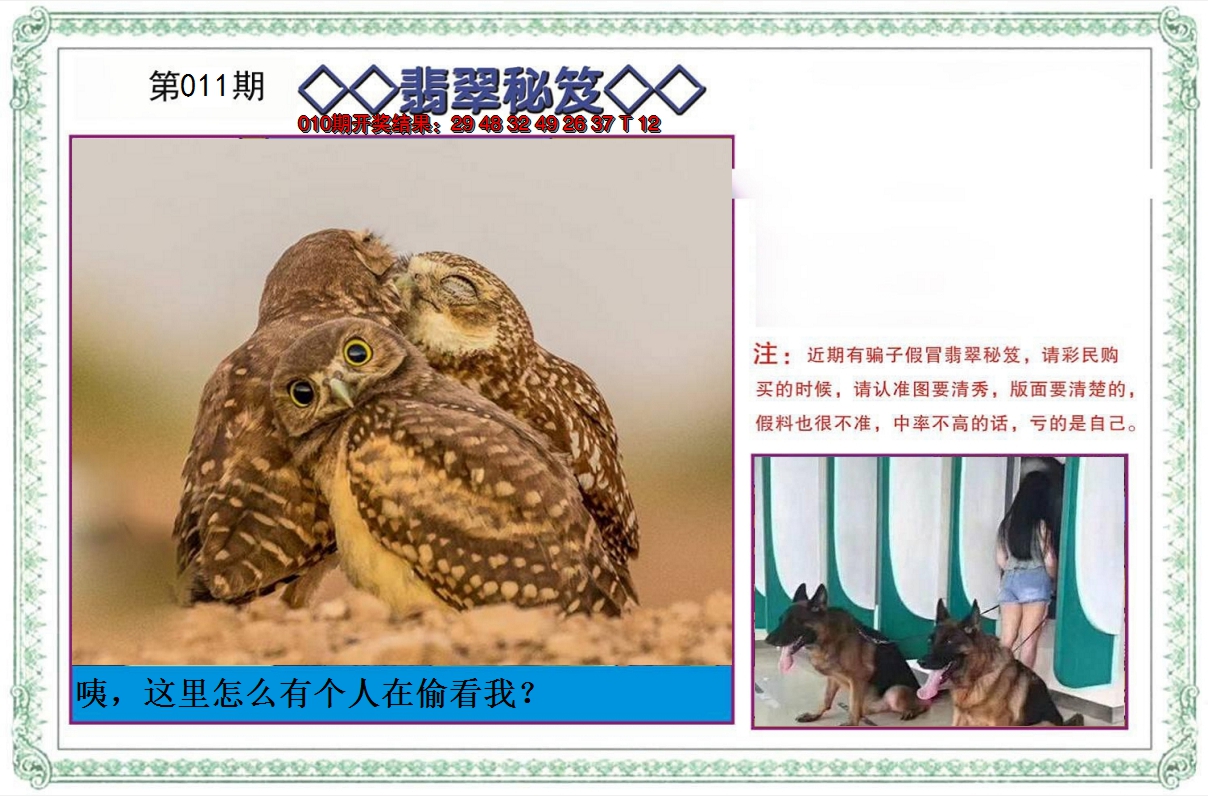 2025011期翡翠秘笈