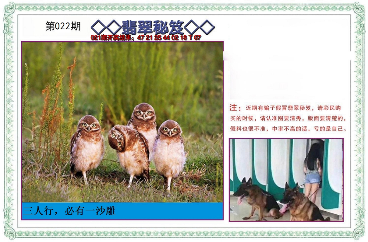 2025022期翡翠秘笈