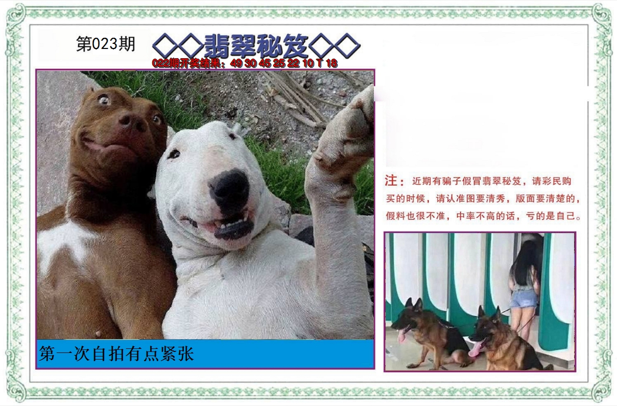 2025023期翡翠秘笈