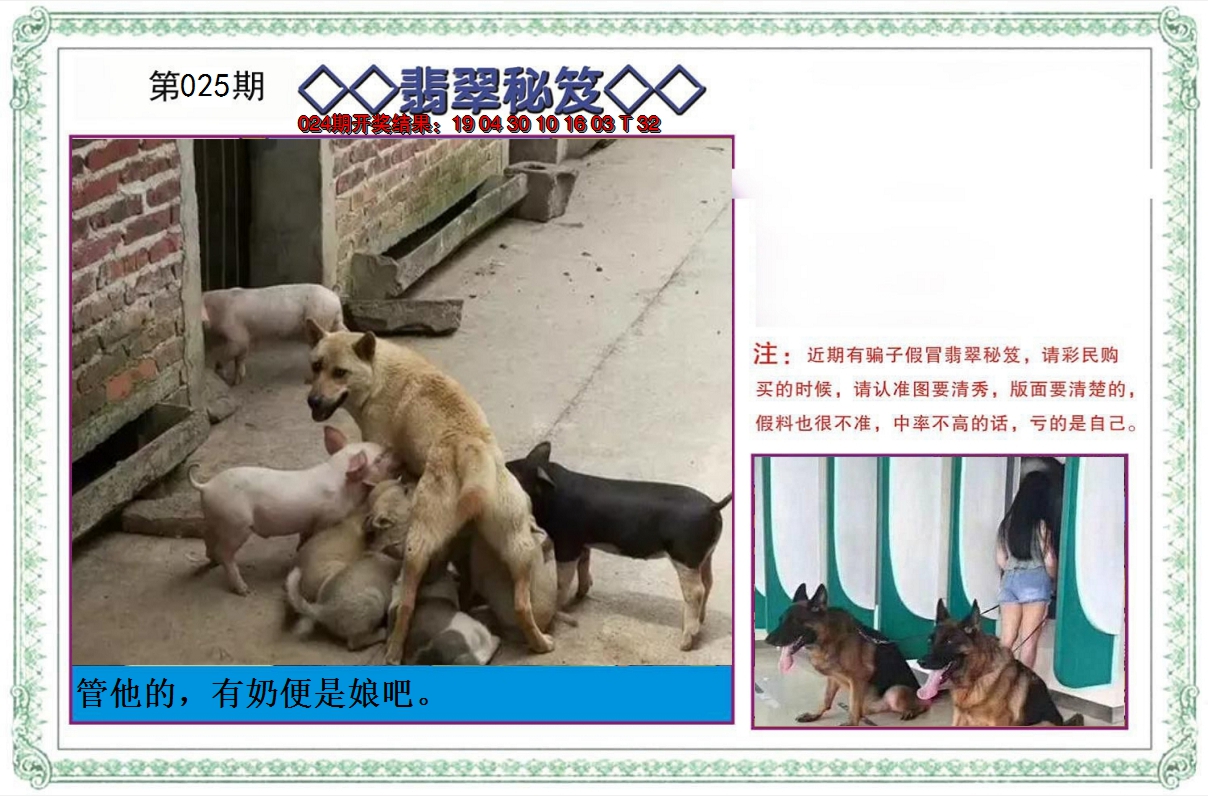 2025025期翡翠秘笈