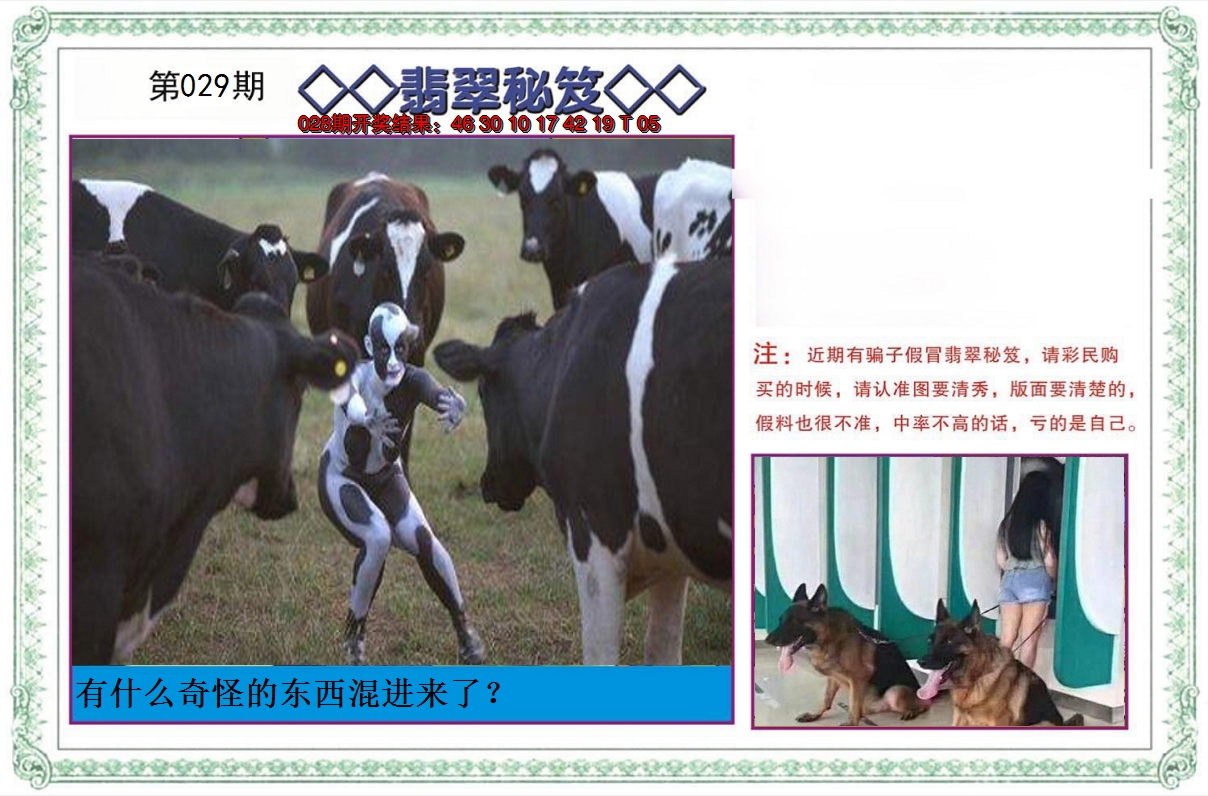 2025029期翡翠秘笈