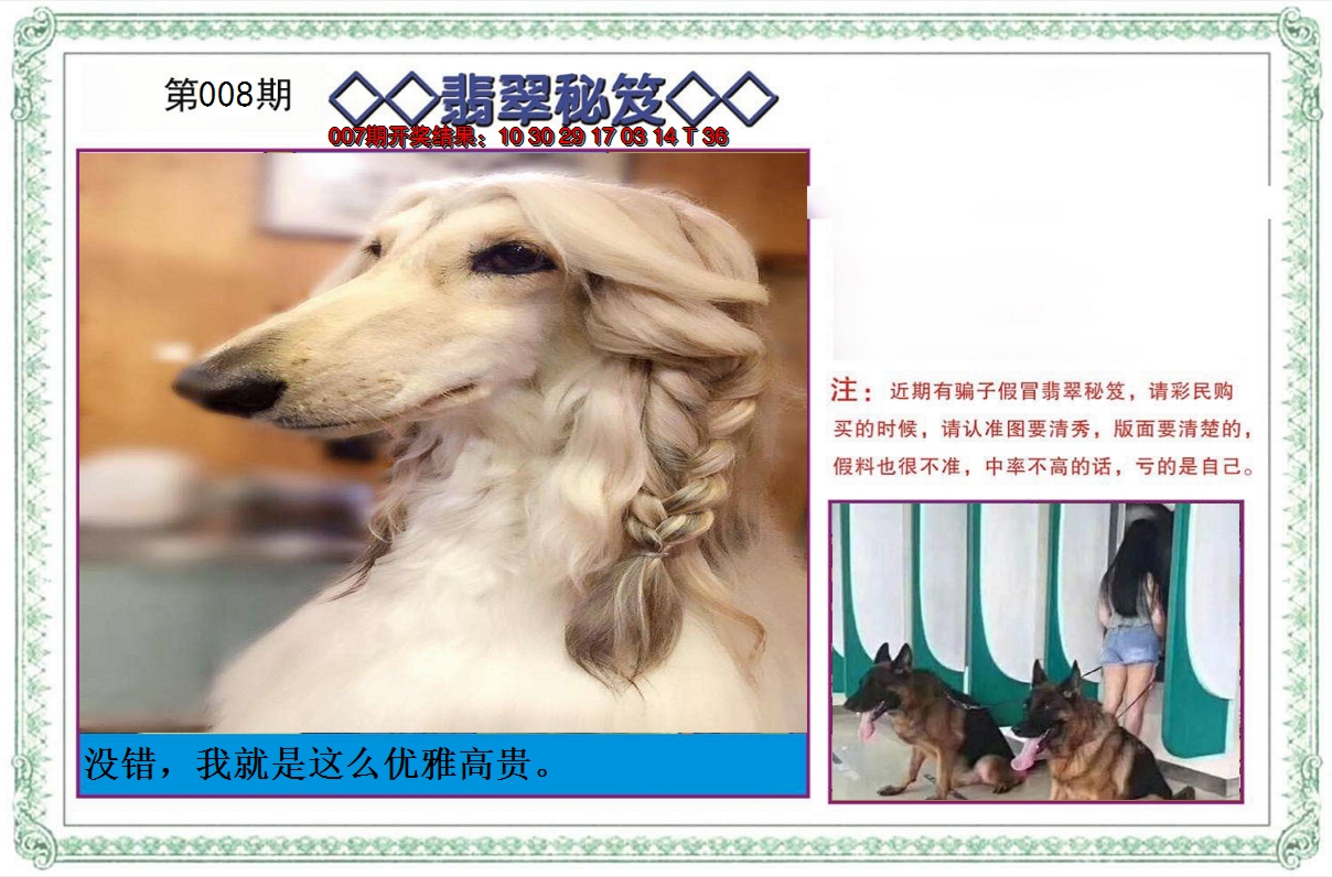 2025008期翡翠秘笈