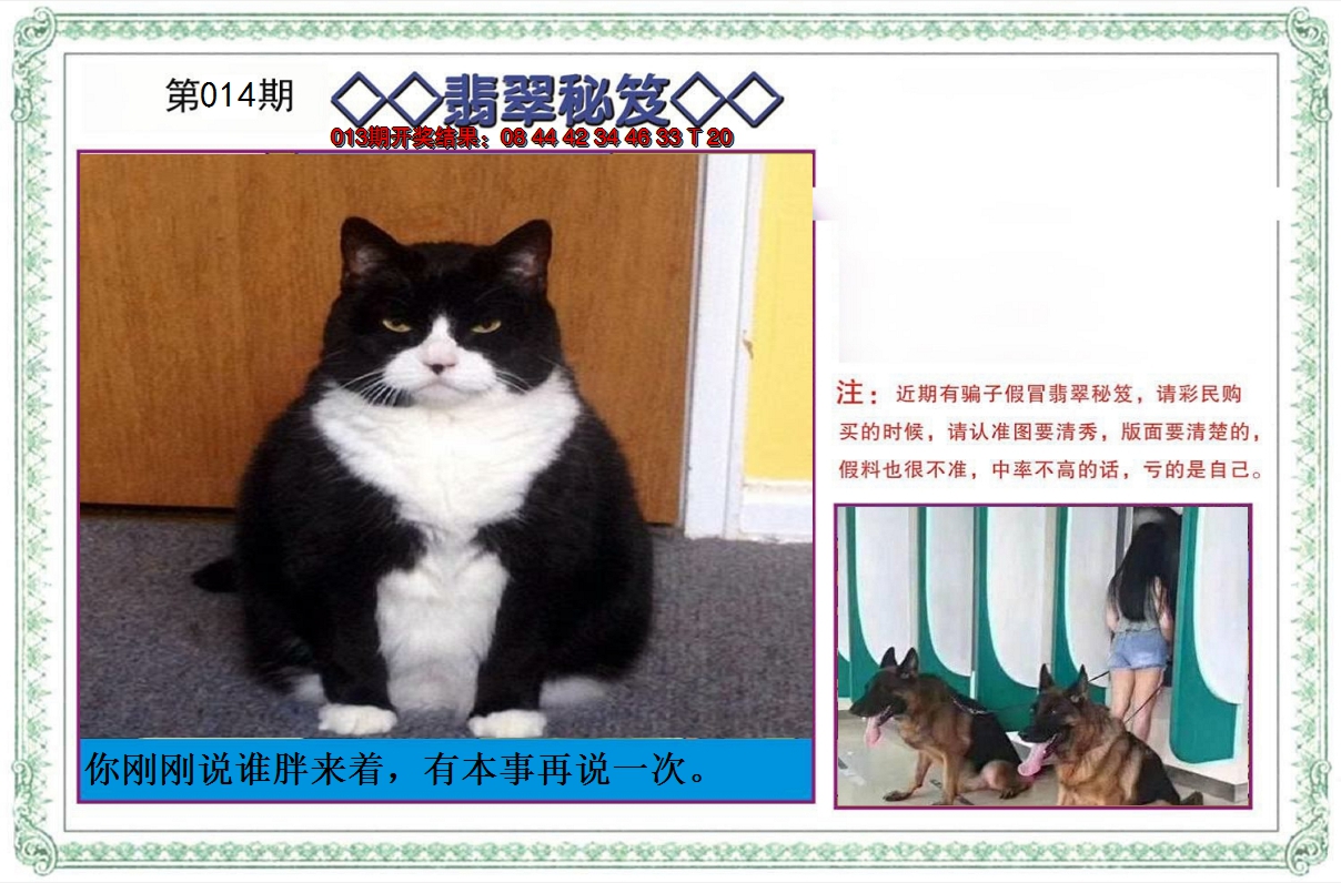 2025014期翡翠秘笈
