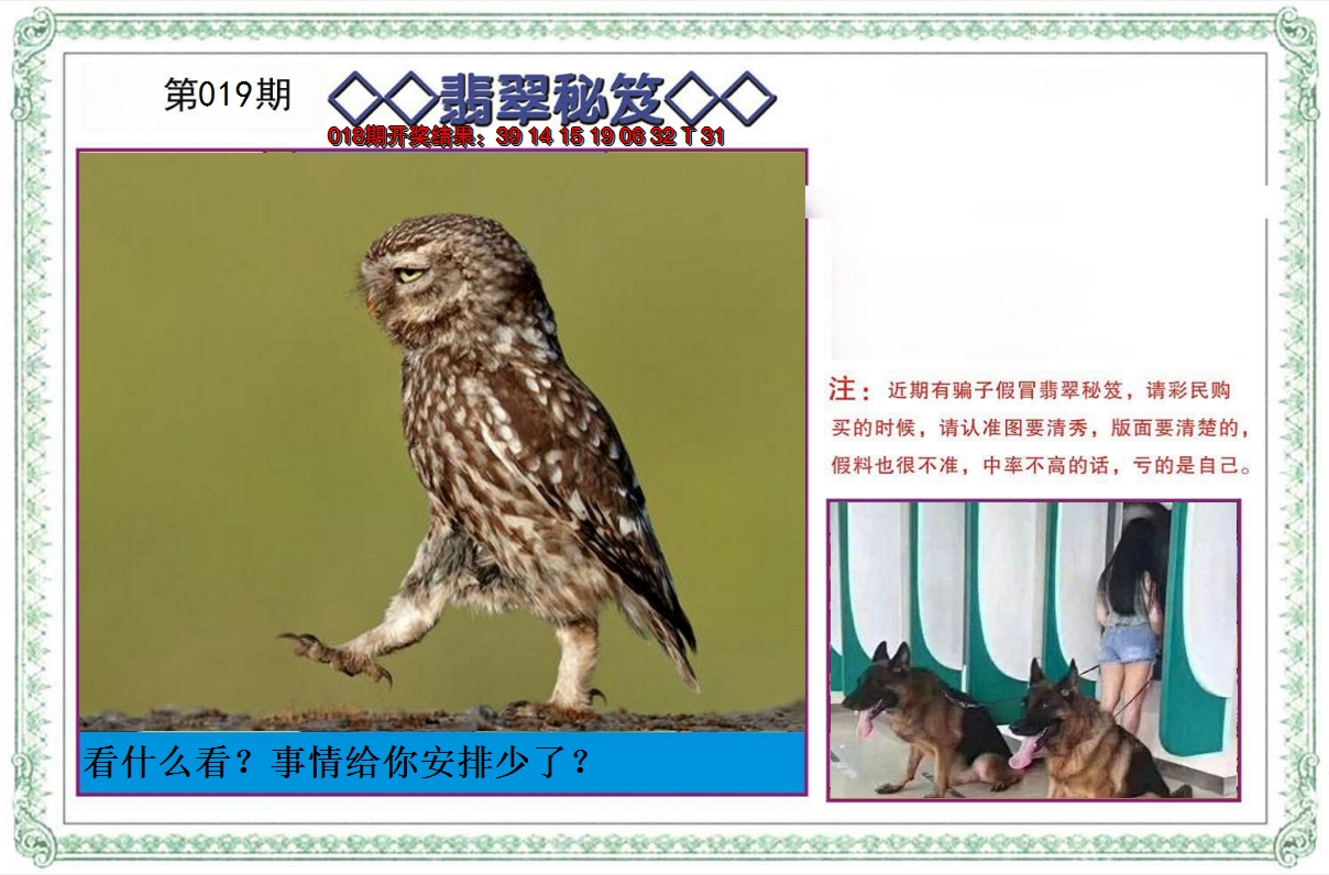 2025019期翡翠秘笈