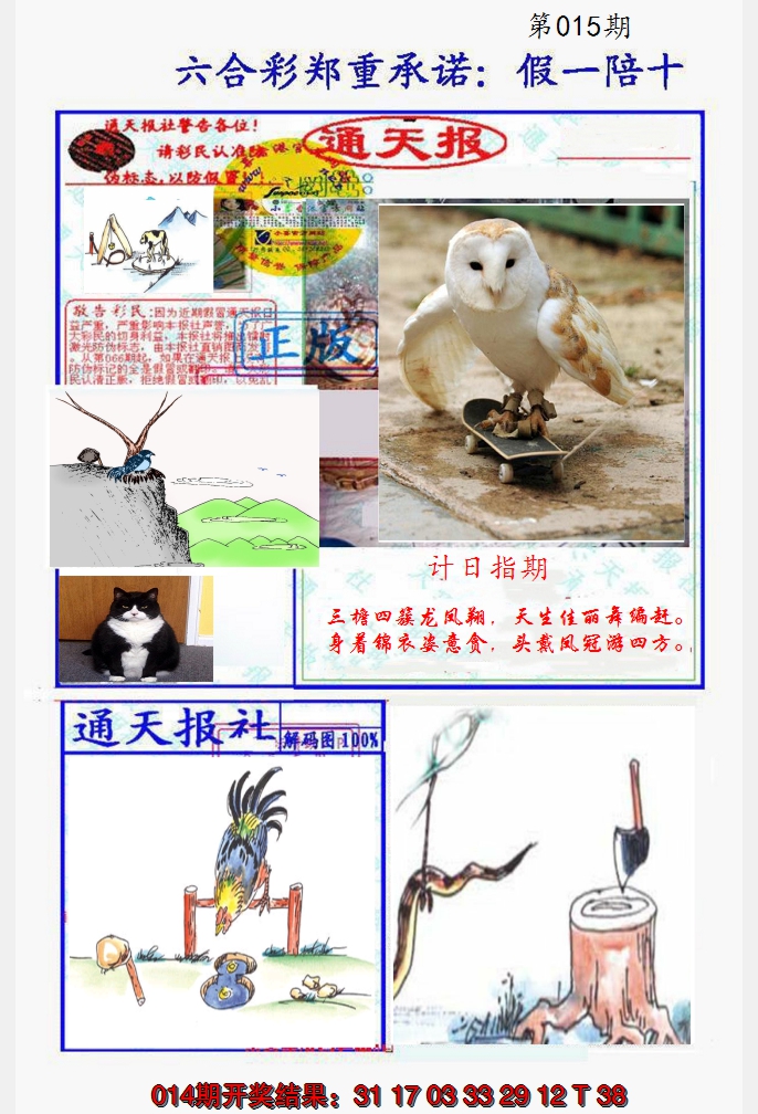 2025015期假一陪十通天报