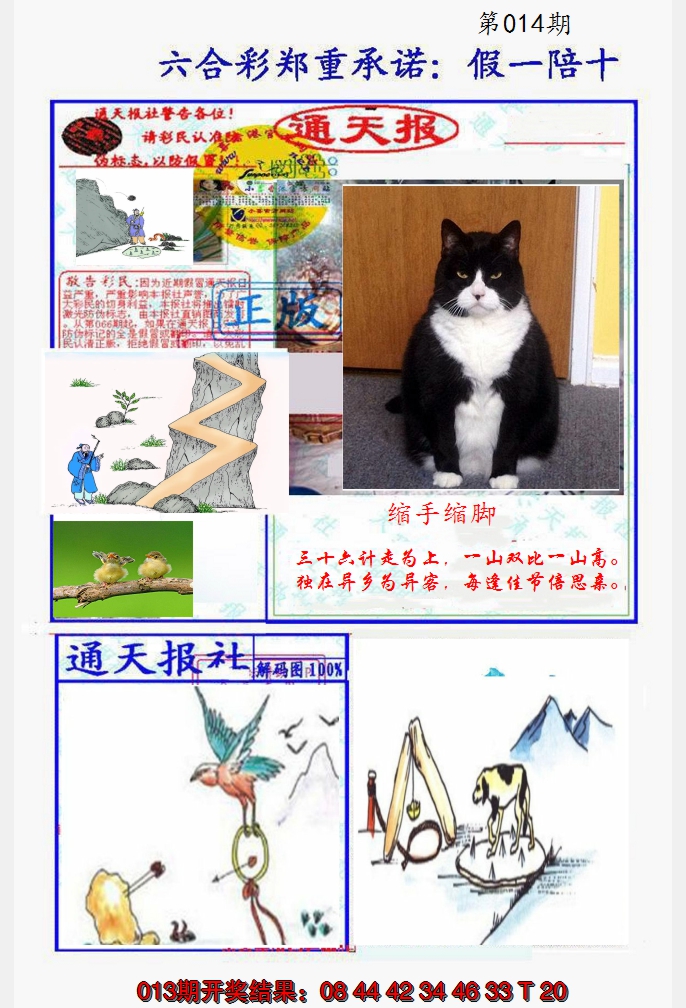 2025014期假一陪十通天报