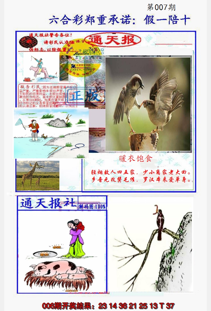 2025007期假一陪十通天报
