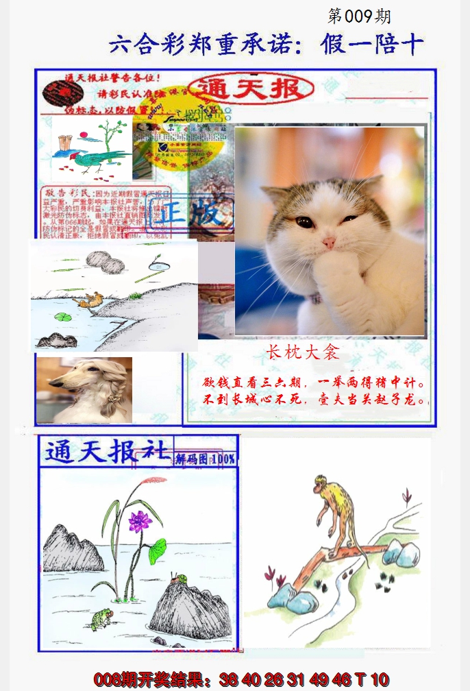 2025009期假一陪十通天报