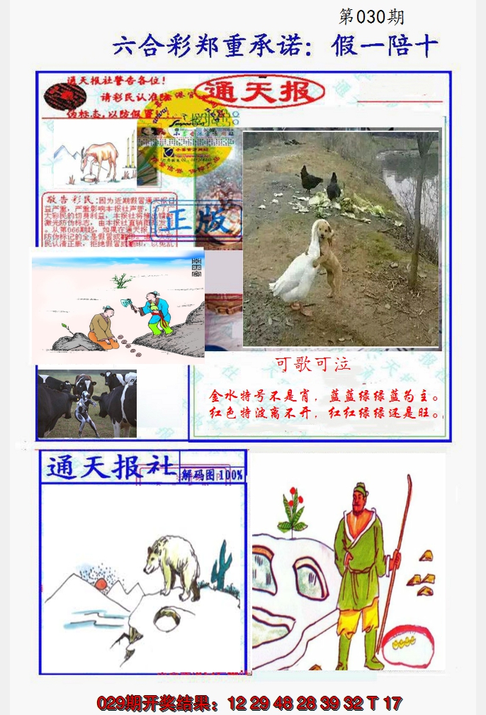 2025030期假一陪十通天报