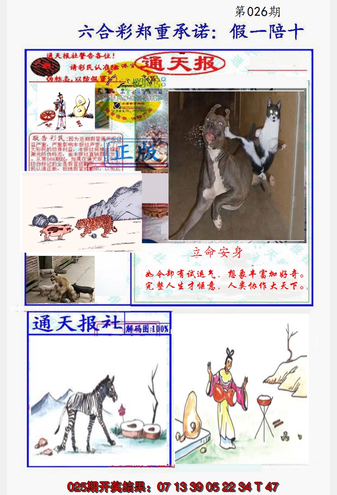 2025026期假一陪十通天报