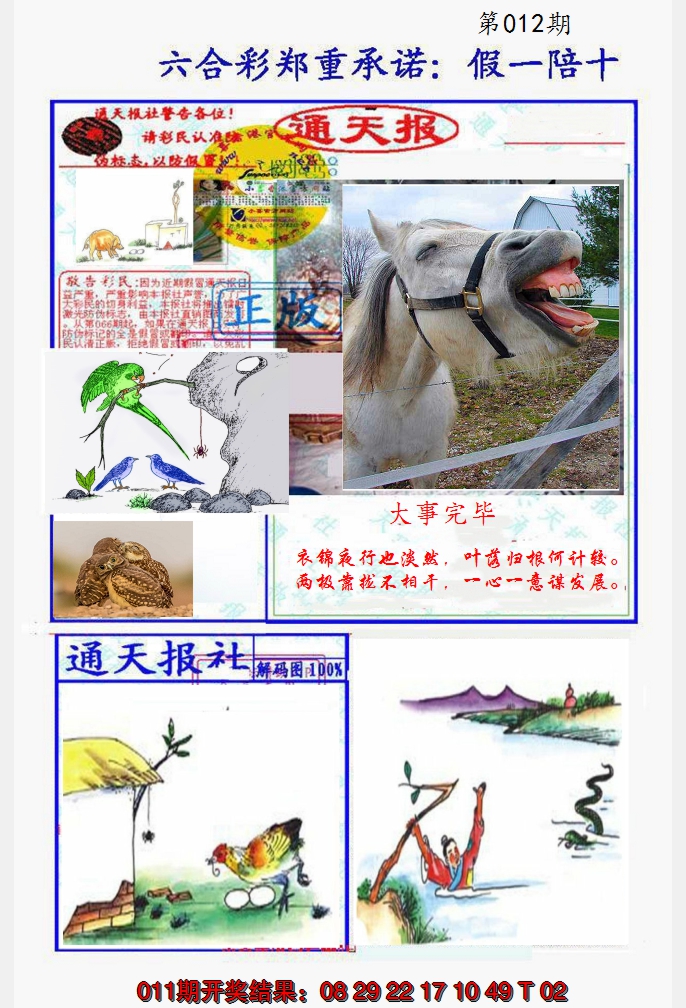 2025012期假一陪十通天报