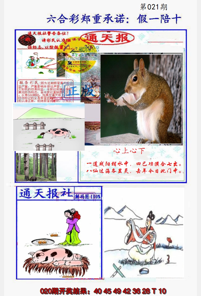 2025021期假一陪十通天报