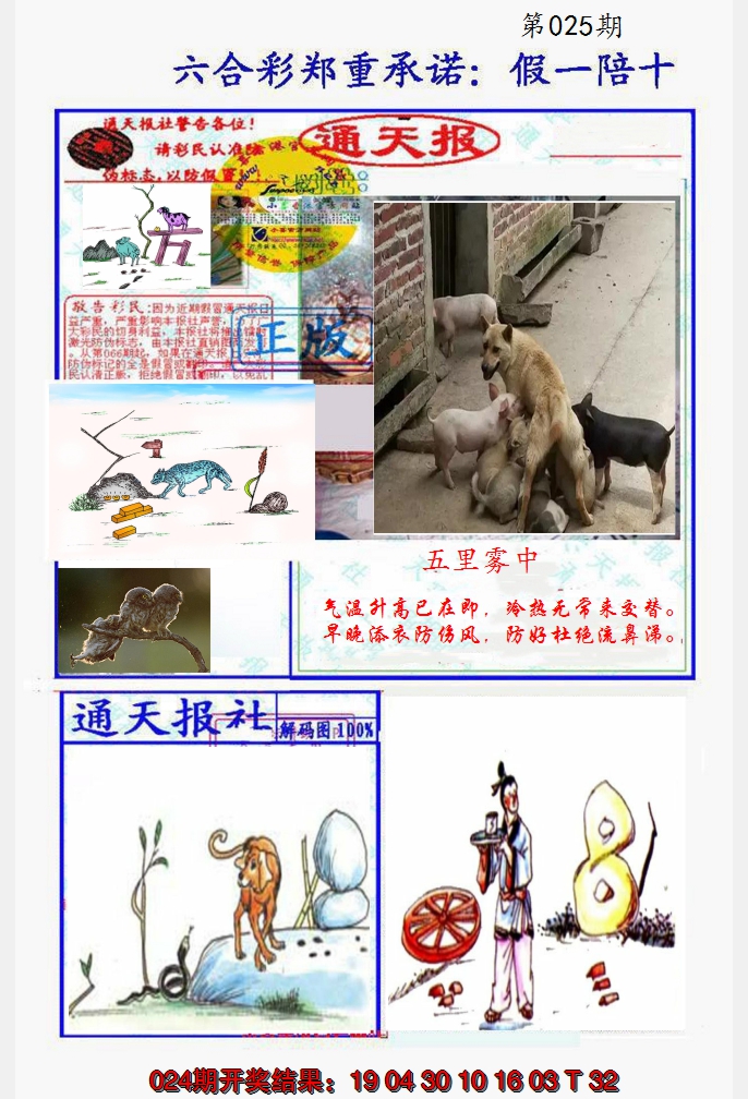 2025025期假一陪十通天报