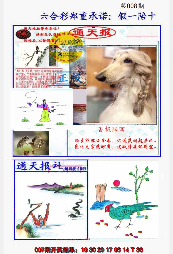 2025008期假一陪十通天报
