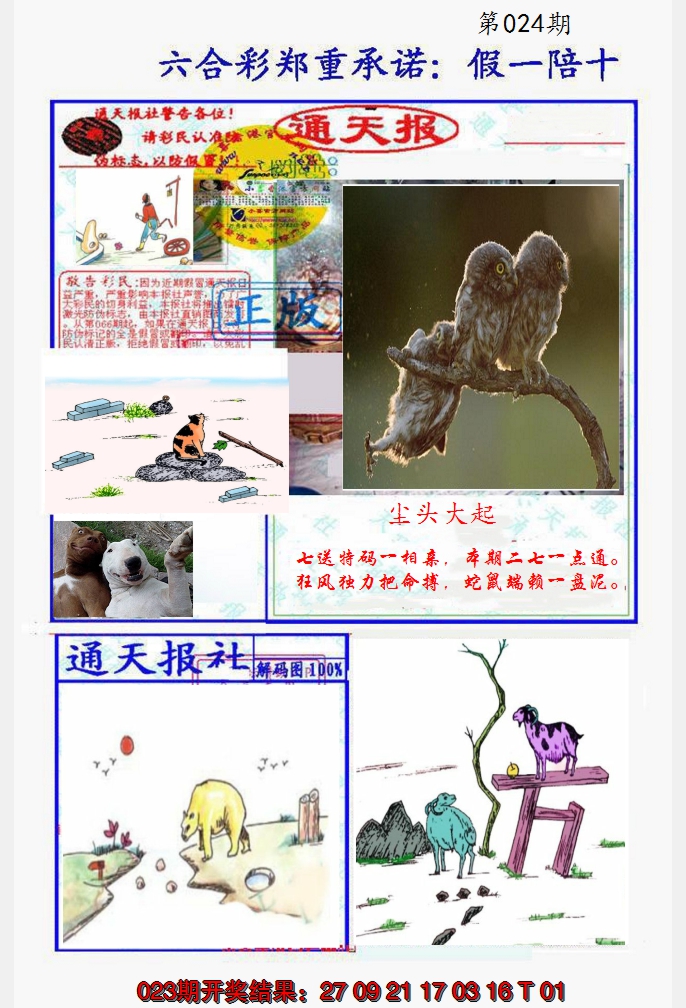 2025024期假一陪十通天报