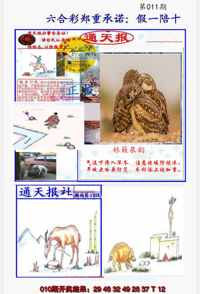 2025011期假一陪十通天报