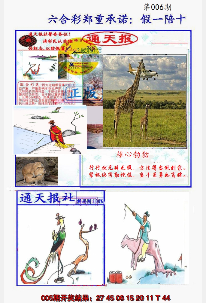 2025006期假一陪十通天报