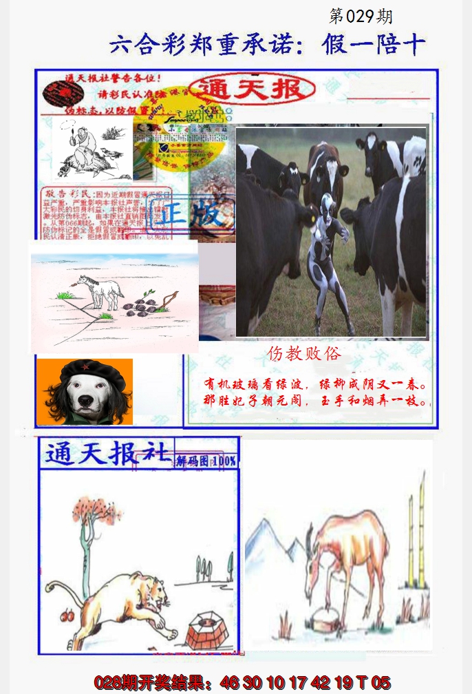 2025029期假一陪十通天报