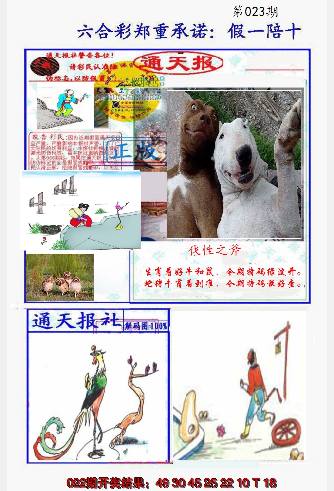 2025023期假一陪十通天报