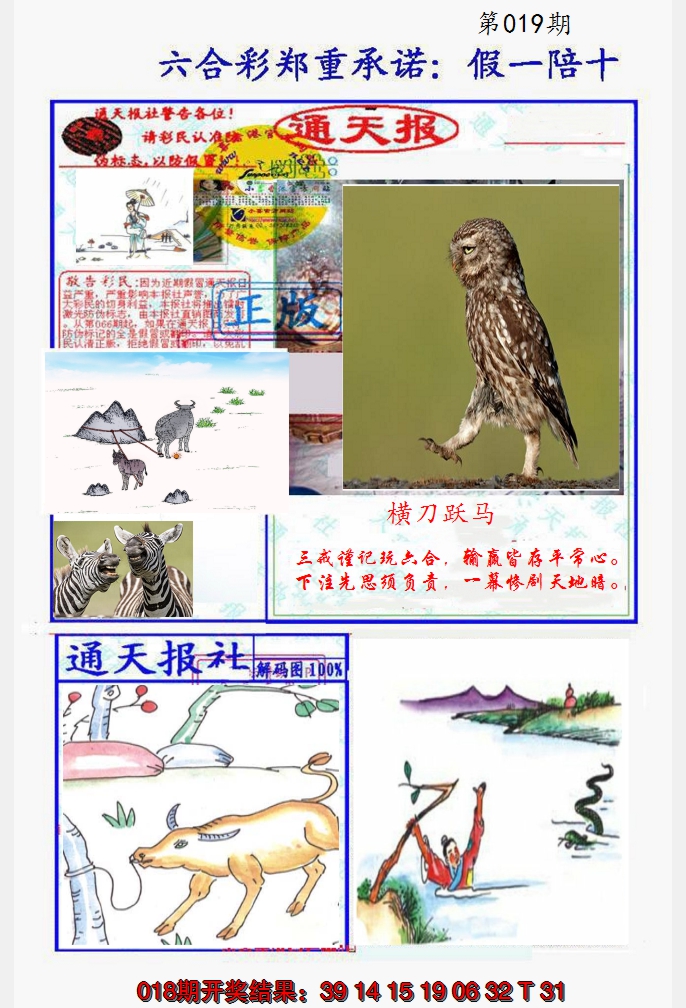 2025019期假一陪十通天报