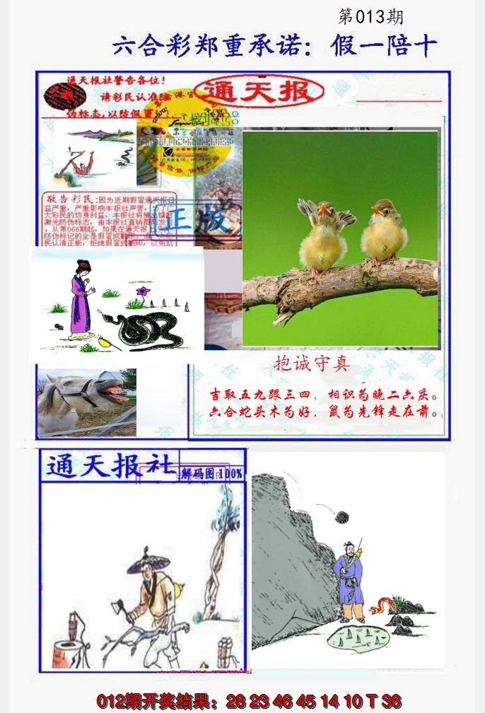 2025013期假一陪十通天报